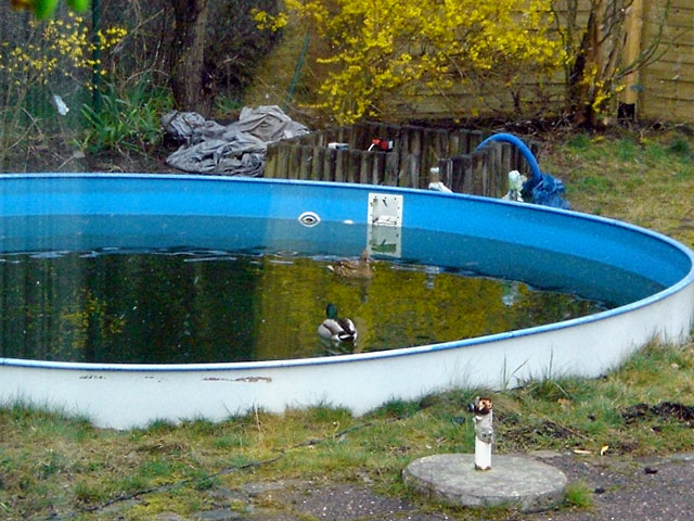 Swimmingpool vor Beginn der Bauarbeiten